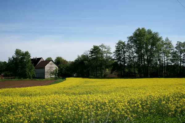 die südpfalz im mai
