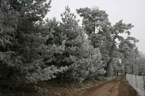 Wintermärchen 1