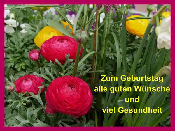 Geburtstag