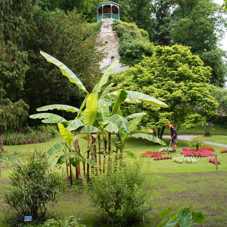 Stadtpark Überlingen