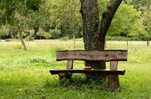 unterm Obstbaum