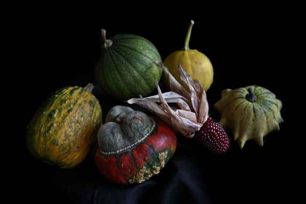 Herbstzeit ist Kürbiszeit