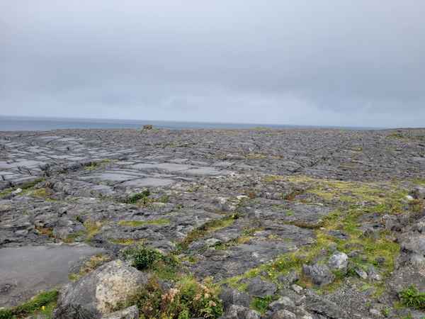 The Burren
