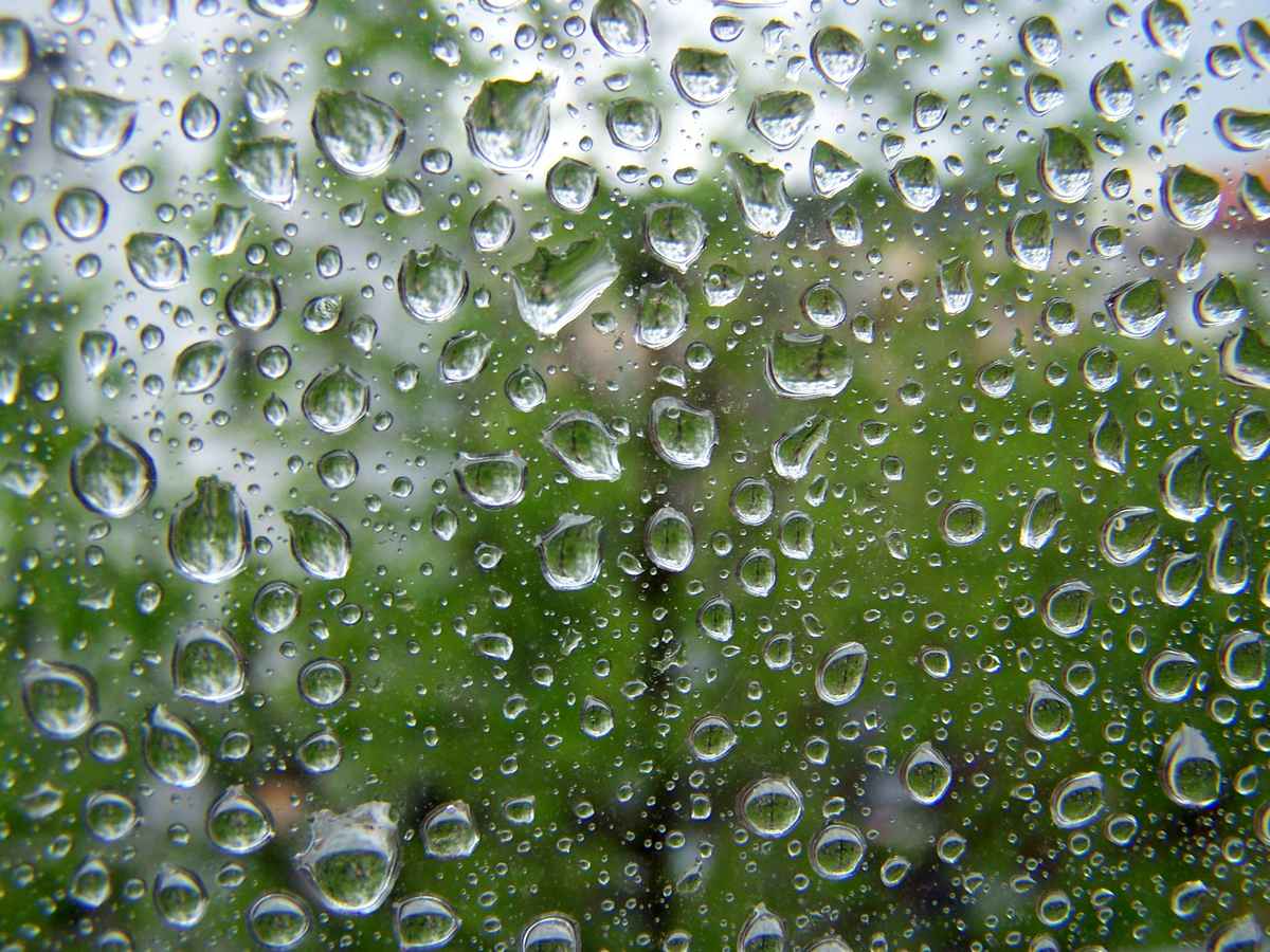 Raindrops