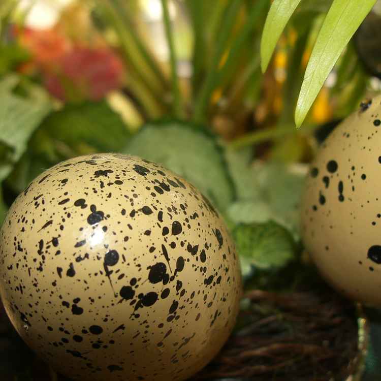 Is denn scho Ostern?