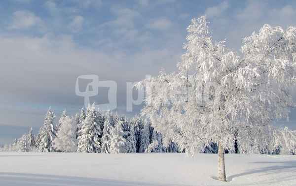 Wintermärchen 2