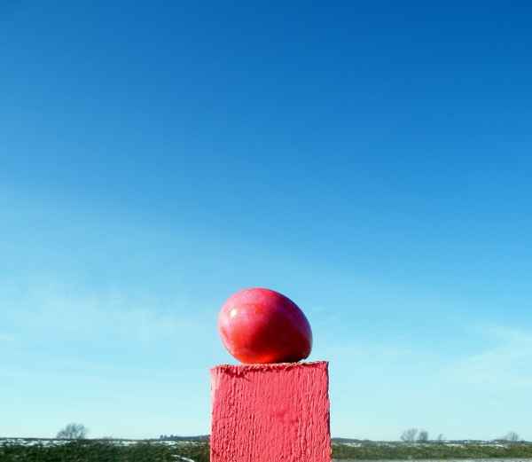 Das pinkfarbene Osterei