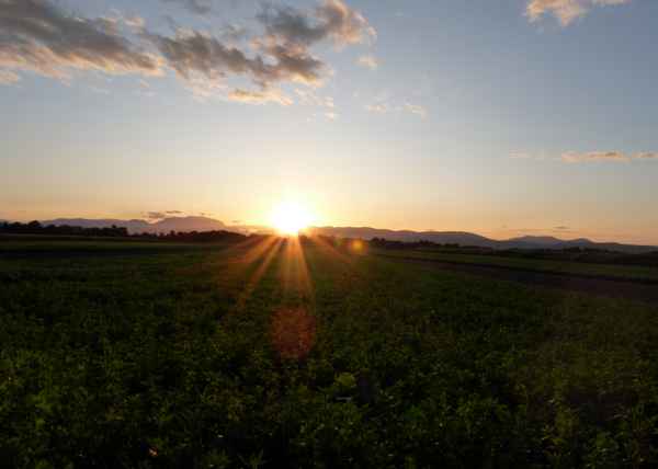 Sonnenuntergang / Sunset