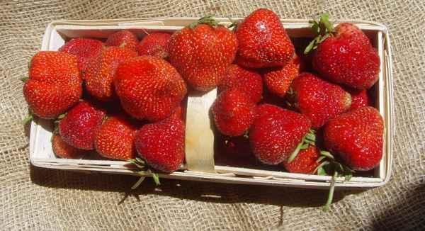 Einheimische Erdbeeren und selbst geerntet...