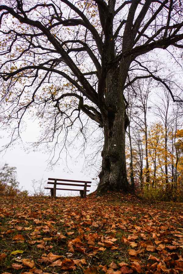 Herbstliche Stille