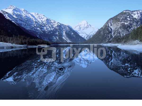 Drache im See