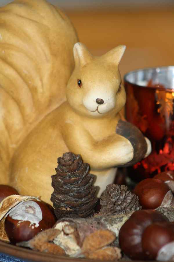 Eichhörnchen-Deko