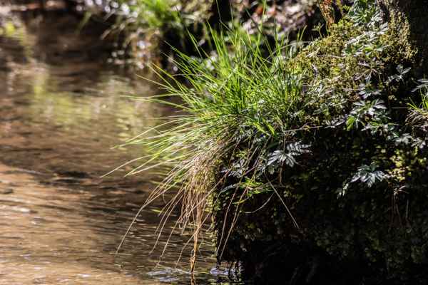 In der Ruhe liegt die Kraft