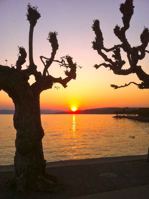 Sonnenuntergang am Zürichsee