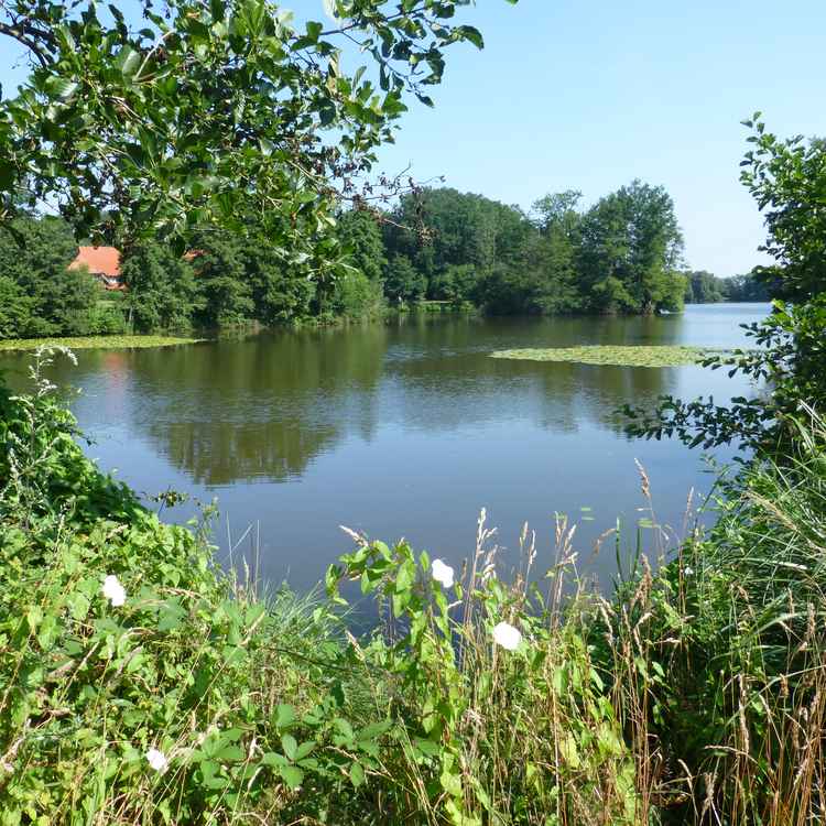 Erholungsgebiet bei Delmenhorst