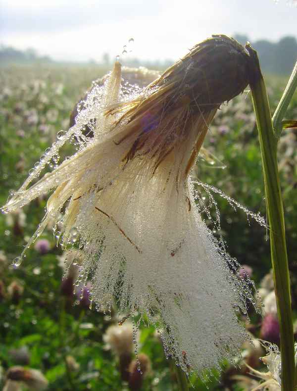Wunderschöner Herbstmorgen