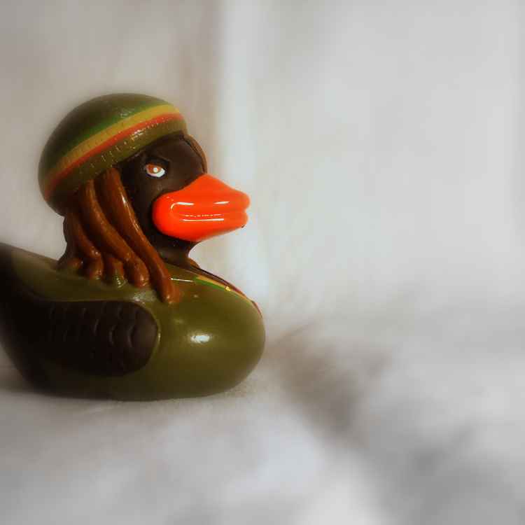 rastaduck