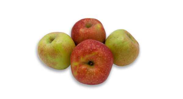 4 frische Äpfel