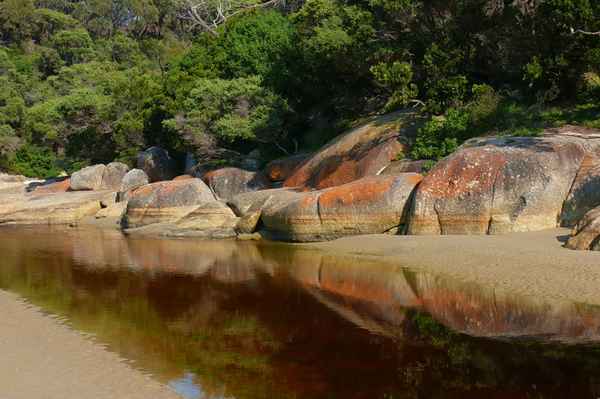 im Wilsons-Promontory-NP, Australien (2)