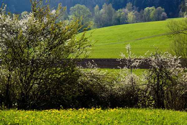 Warten auf Frühling_2