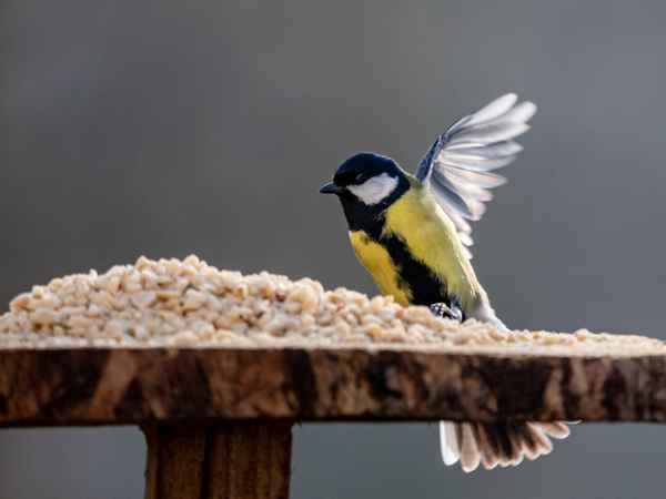 Ich bin dann mal weg...