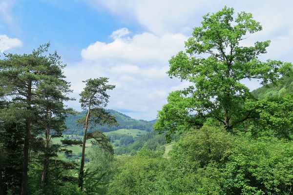 Auf der ersten Jurakette