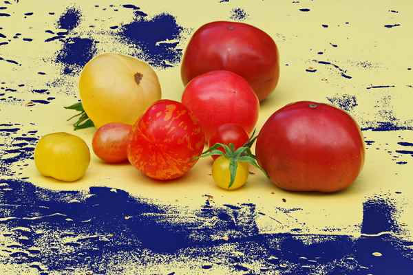 alte sorten, vielfalt gegen einerlei 2