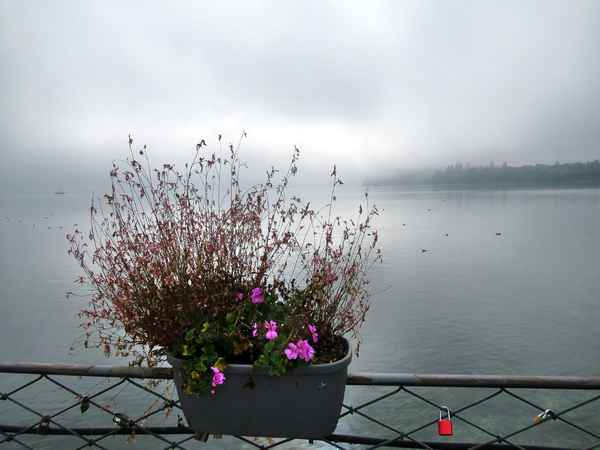 Stilleben - Morgennebel