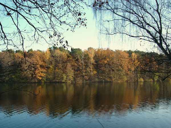 An der Krummen Lanke 4