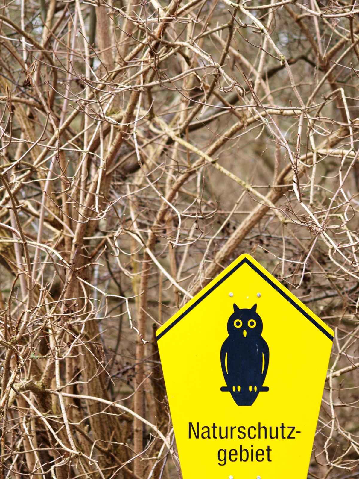 Naturschutzgebiet