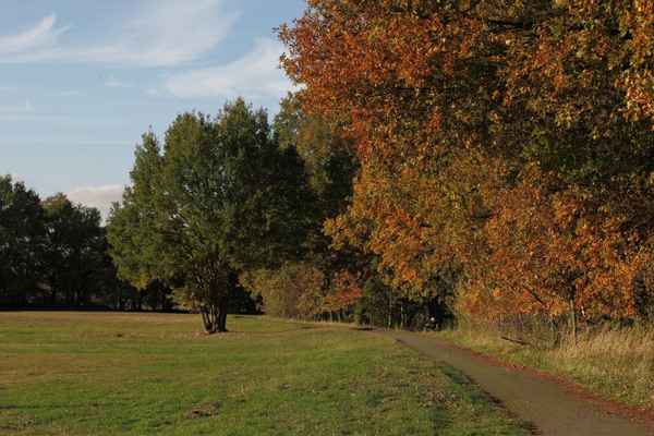 Der Wanderweg