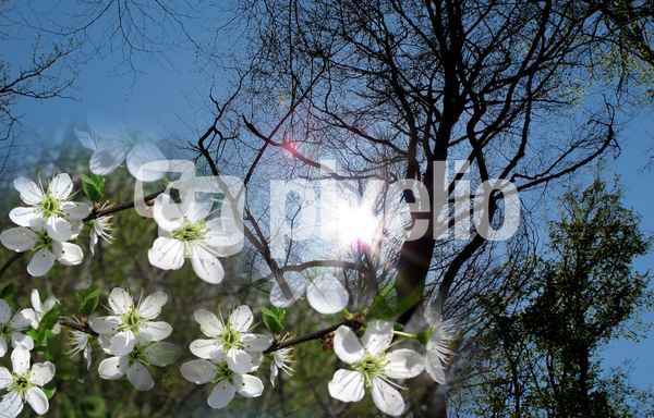 Frühling in Sicht