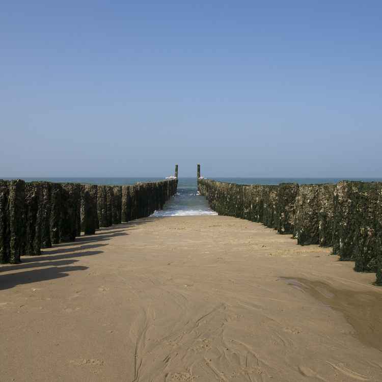 Strand Impressionen Zeeland
