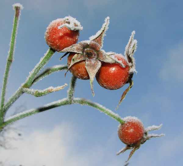 Hier kann man ein Lächeln erkennen