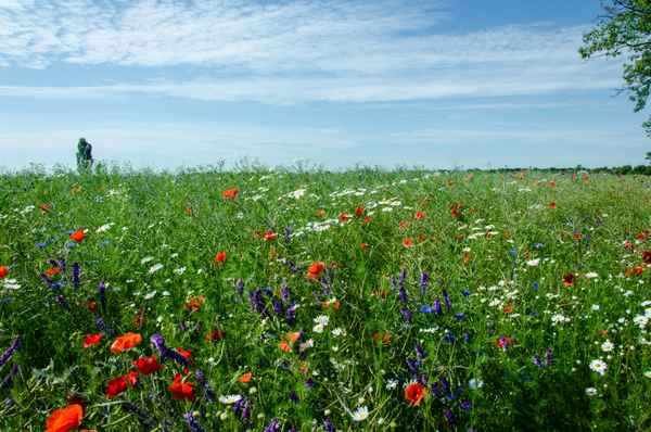 Farbenspiele in der Natur
