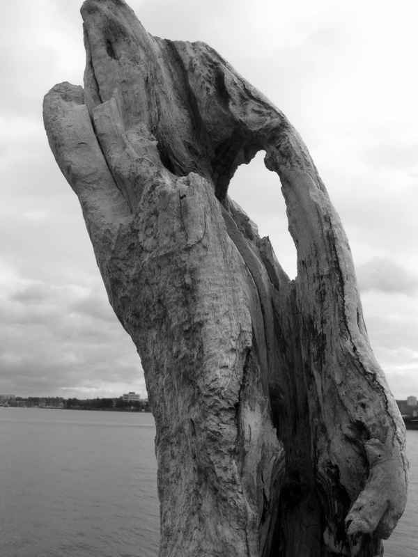 Holz verwittert schneller an der See