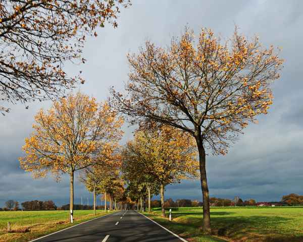 fahrt durch den herbst 1