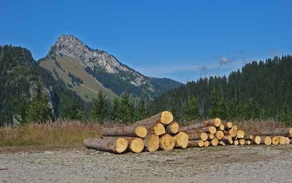 Forstarbeit: Fürs Sägewerk