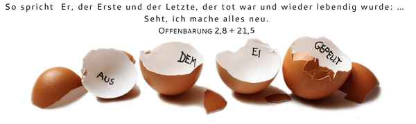 Aus dem Ei gepellt