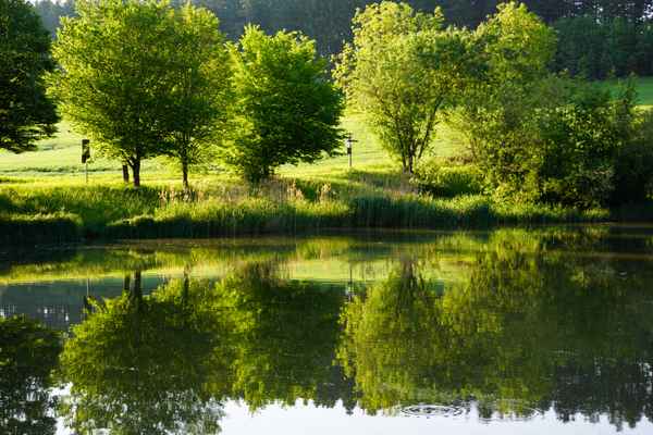 Morgenstimmung am Sandbühlsee
