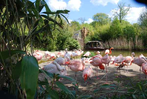 Zoo Hannover