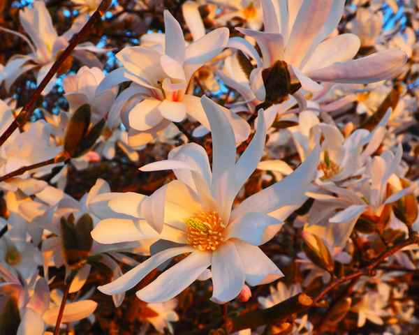 von der abendsonne geküsst