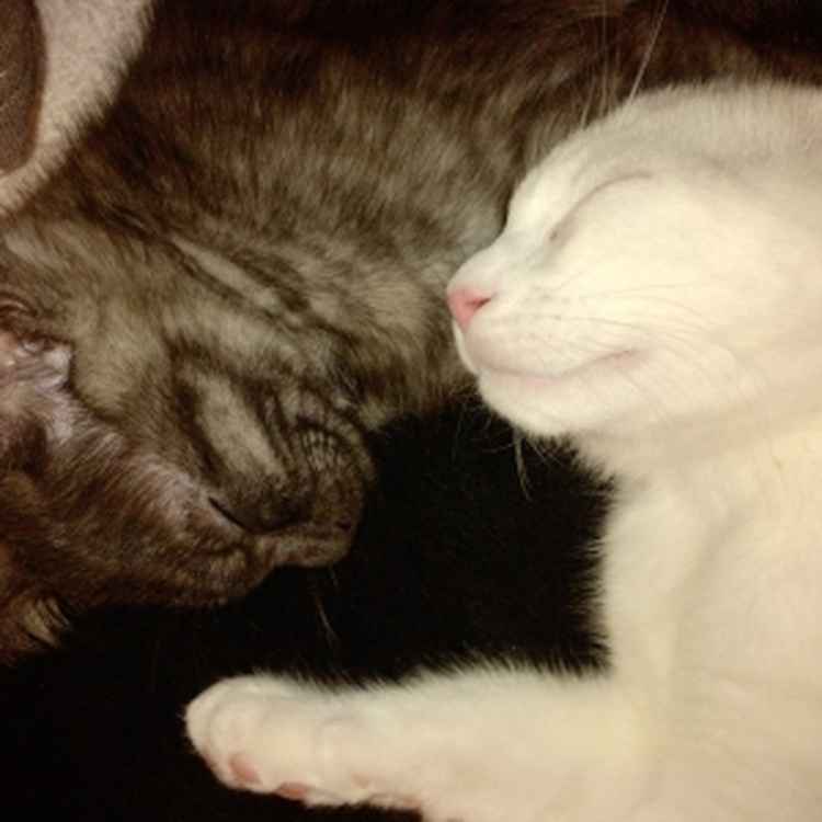 zzzZZZzzz