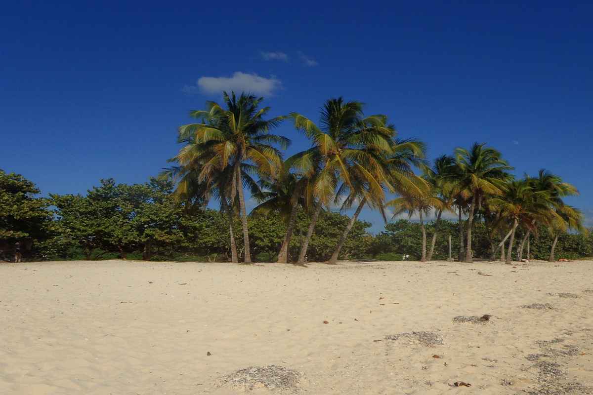 Playa Giron 1