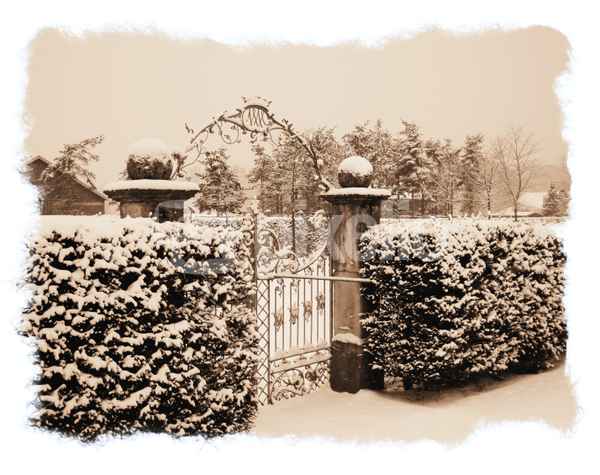 Winternostalgie