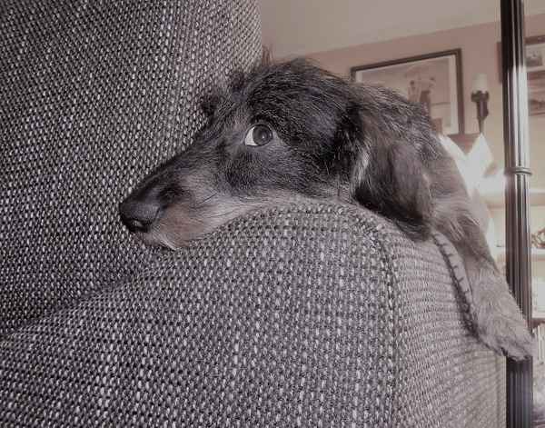 Couchpotato (bearbeitet)