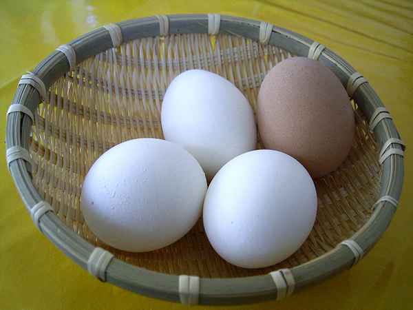 Eier -- hartgekocht