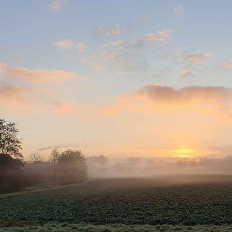Ein nebeliger Morgen