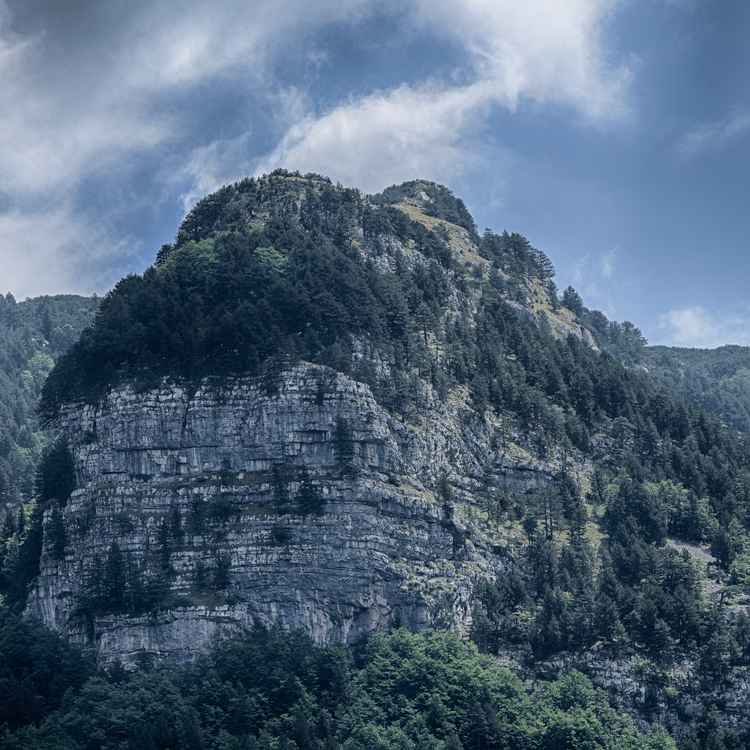 Blidinje