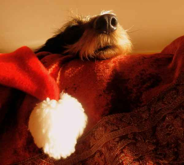 Warten auf den Weihnachtsmann ermüdet